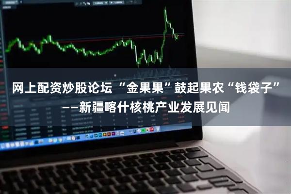 网上配资炒股论坛 “金果果”鼓起果农“钱袋子”——新疆喀什核桃产业发展见闻